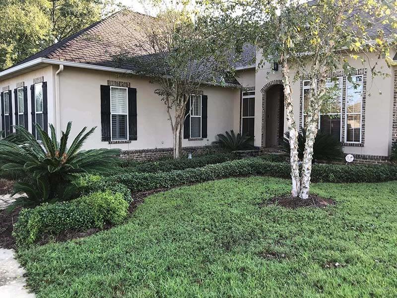 Residential Painting After