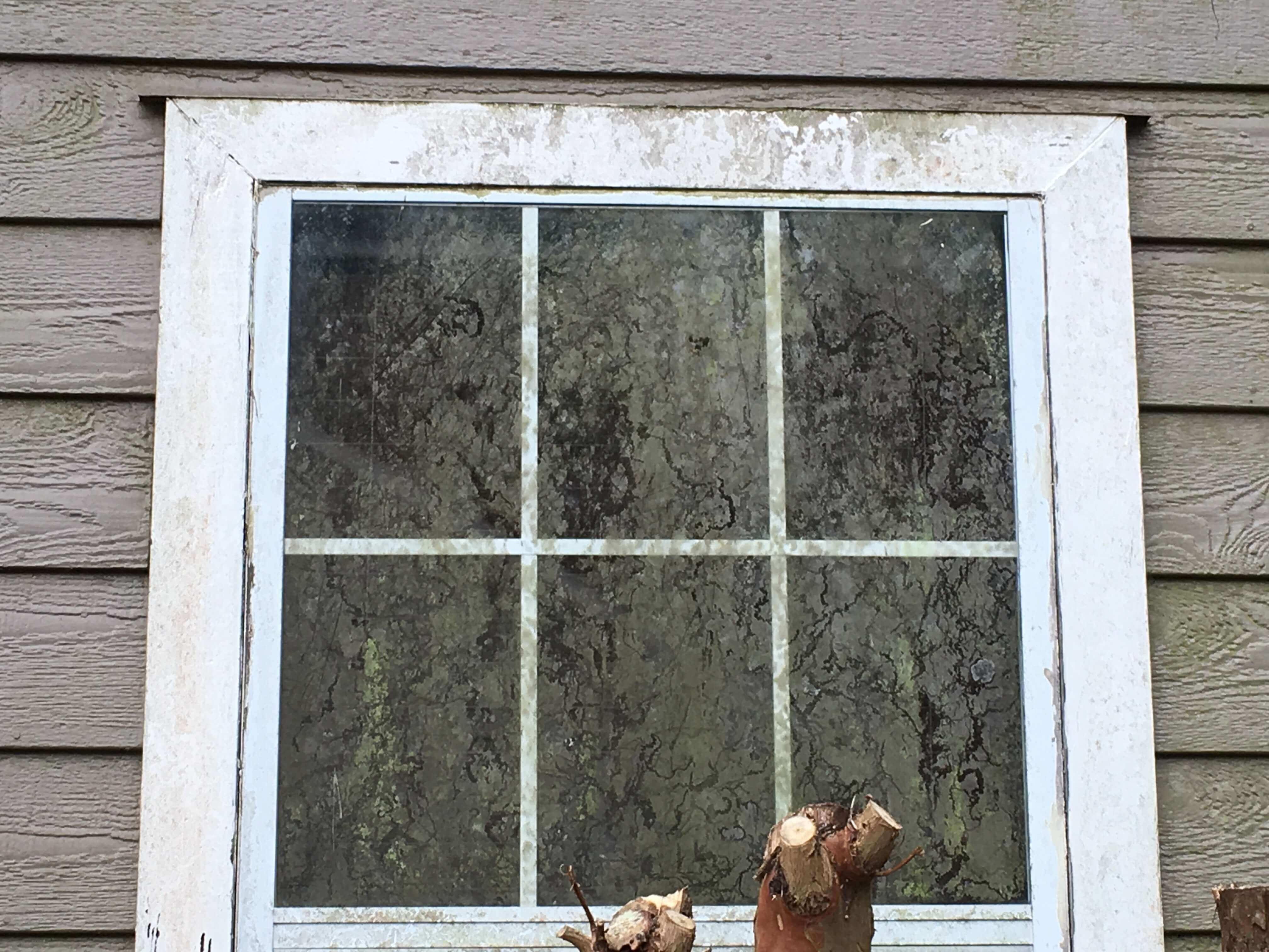 Power Washing Before