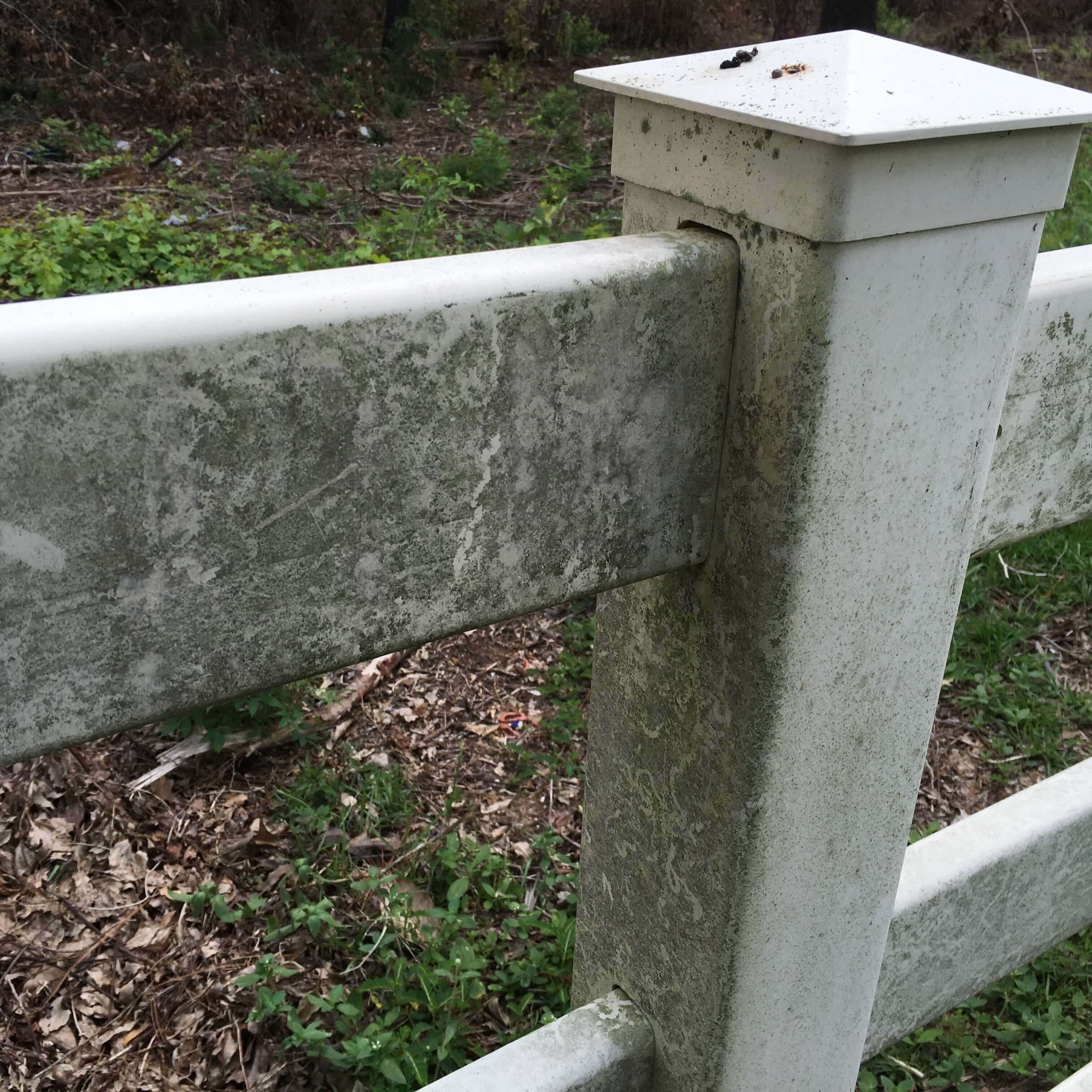 Power Washing Before