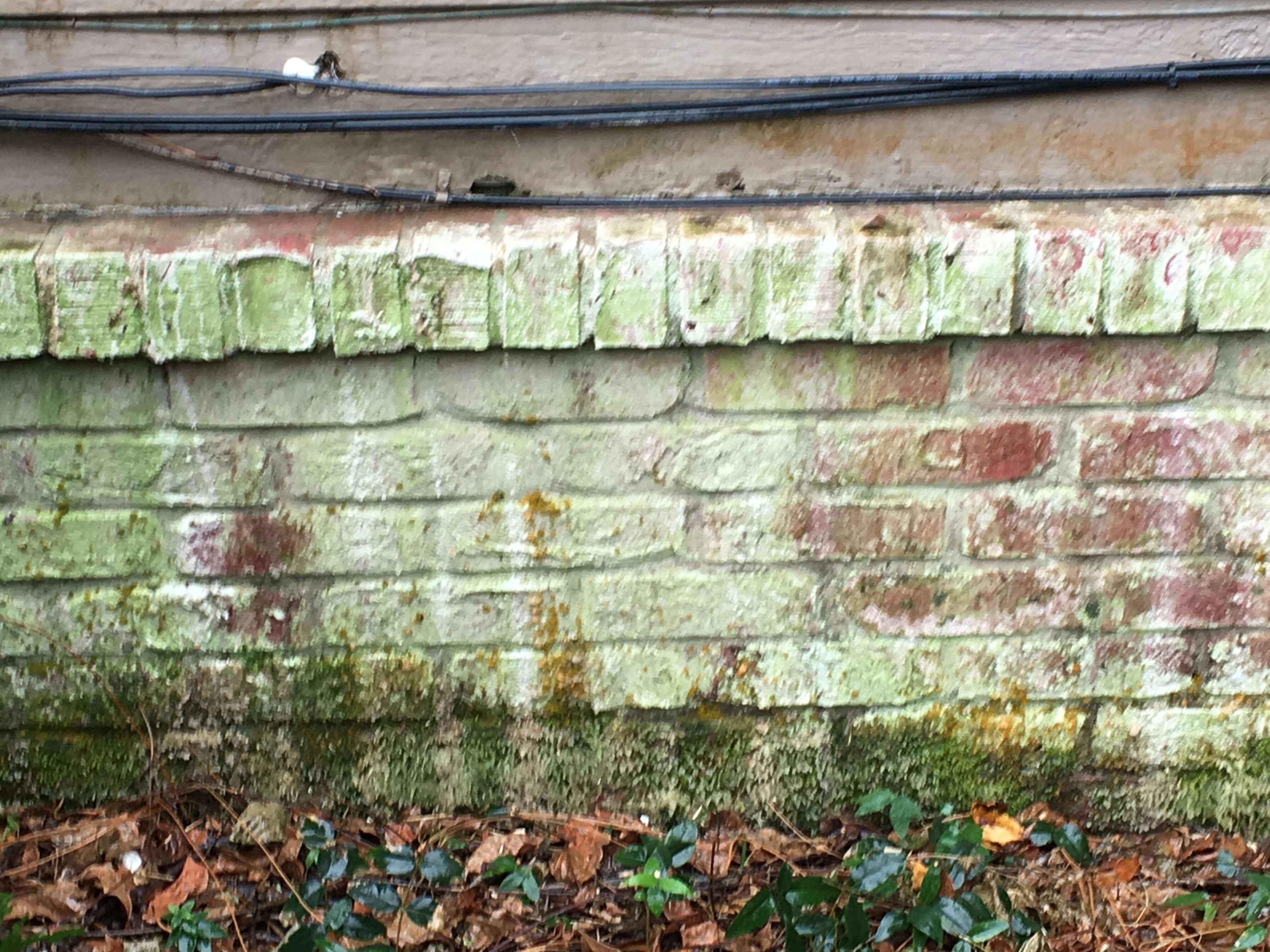 Power Washing Before